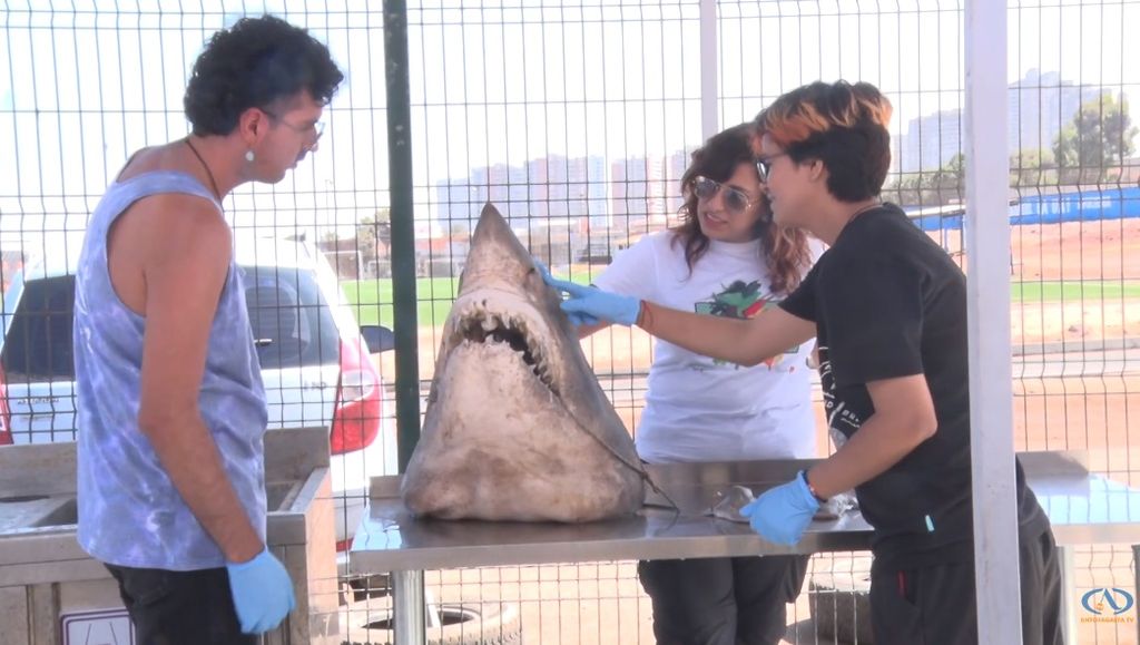 Estudiantes Facultad de Ciencias del Mar Estudiantes Facultad de Ciencias del Mar