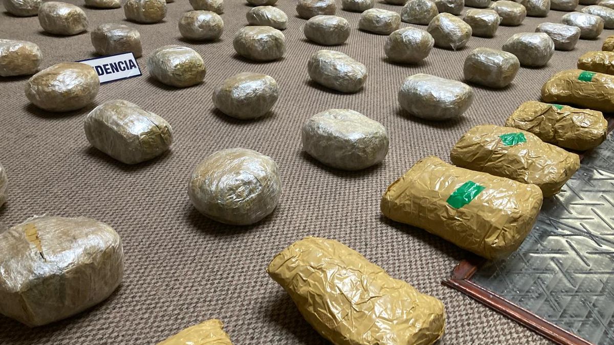Desmantelan red de narcotráfico en Antofagasta Desmantelan red de narcotráfico en Antofagasta