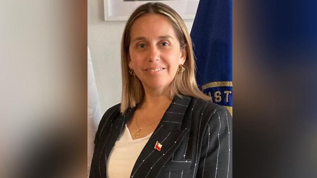 Seremi Desarollo Social y Familia - Lizet Tapia