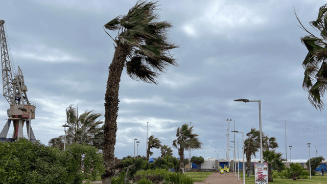 Vientos Antofagasta Vientos Antofagasta