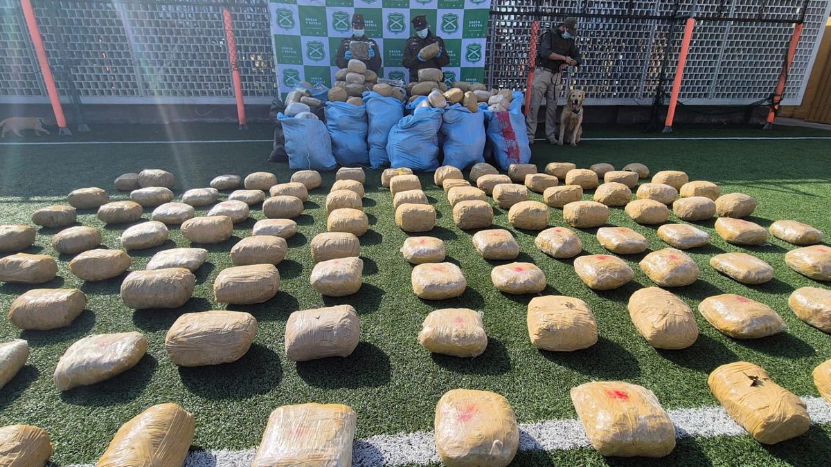 Descubren millonario cargamento de marihuana en el desierto Descubren millonario cargamento de marihuana en el desierto