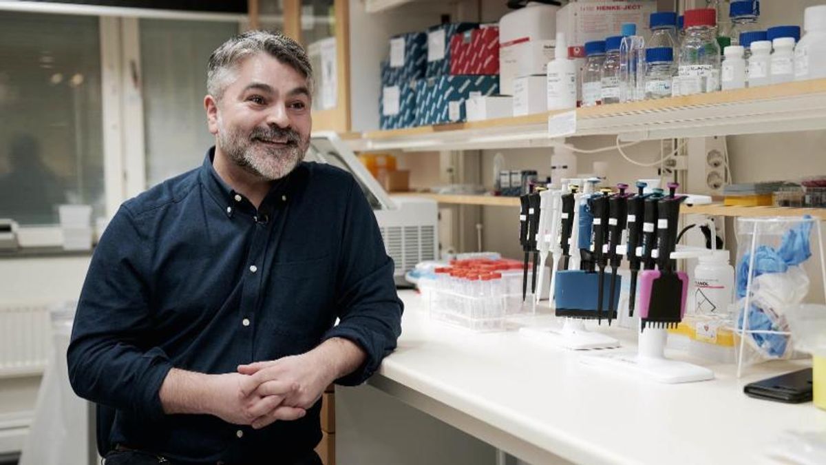 Descubren molécula chilena que combate cáncer intestinal Descubren molécula chilena que combate cáncer intestinal