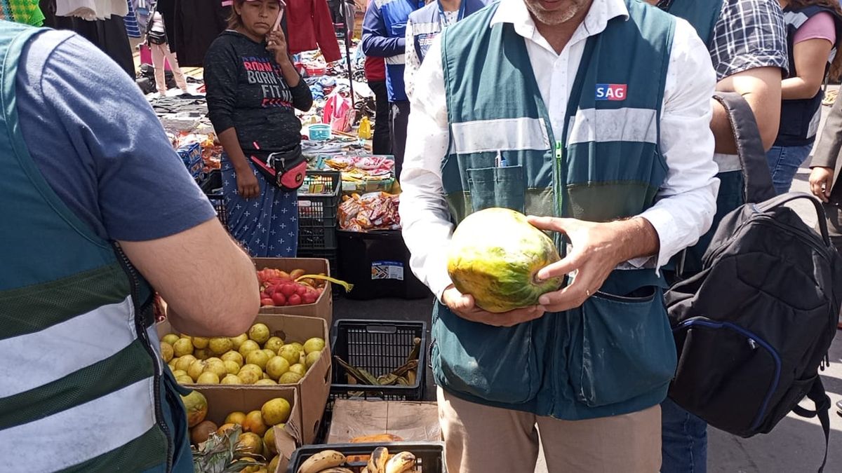 Incautan 500 kilos de productos sospechosos en Feria de las Pulgas Incautan 500 kilos de productos sospechosos en Feria de las Pulgas