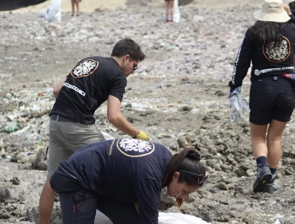 Antofa Circular Antofa Circular