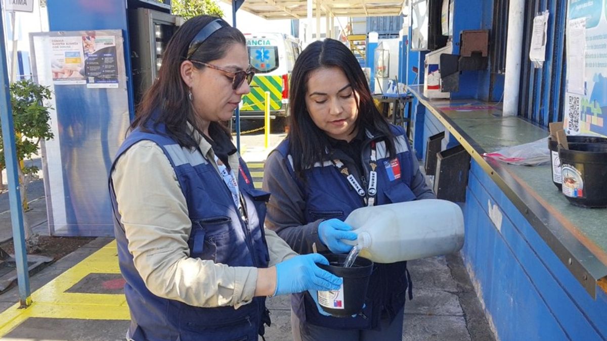 Refuerzan control del Dengue en Mejillones con 50 trampas Refuerzan control del Dengue en Mejillones con 50 trampas