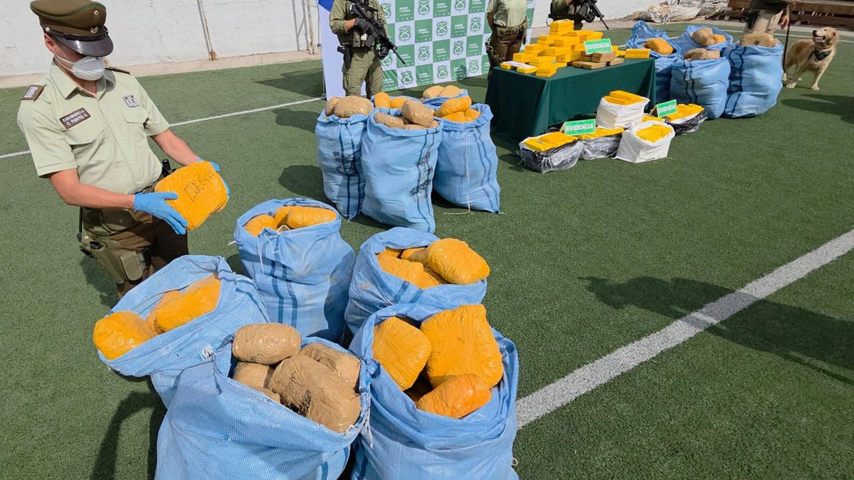 700 kilos de Drogas Antofagasta 700 kilos de Drogas Antofagasta