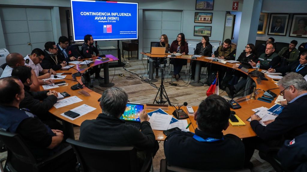 Reunión gripe aviar Reunión gripe aviar