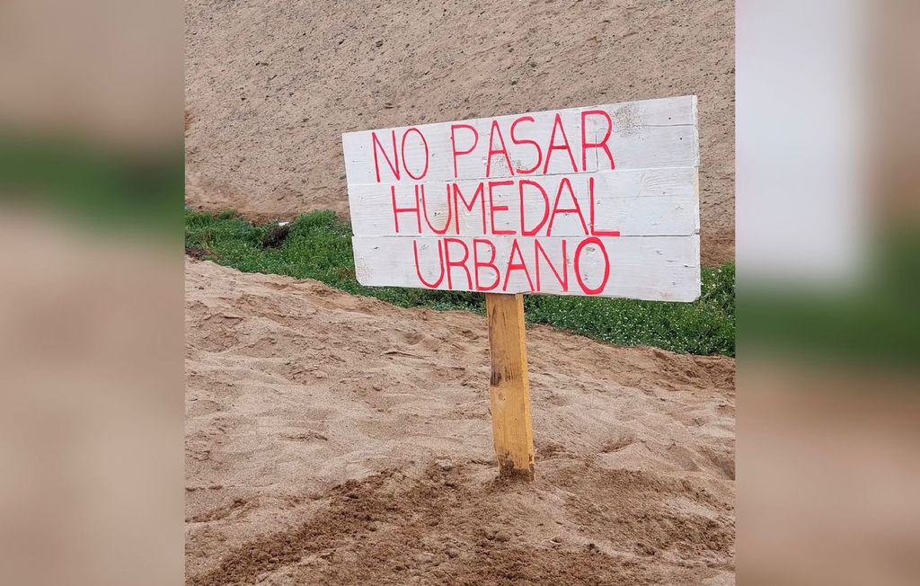 Humedal Vertientes de La Chimba Humedal Vertientes de La Chimba