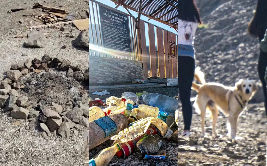 Denuncia Reserva Nacional La Chimba Denuncia Reserva Nacional La Chimba