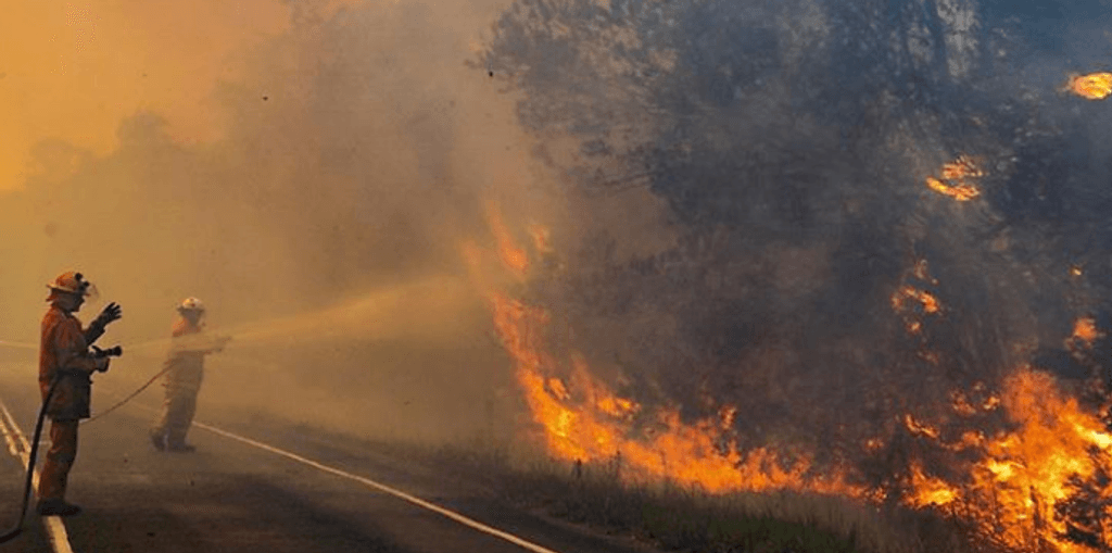 Incendios forestales Incendios forestales