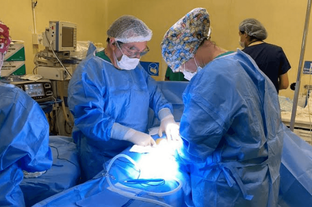 Sembrando Salud Sembrando Salud