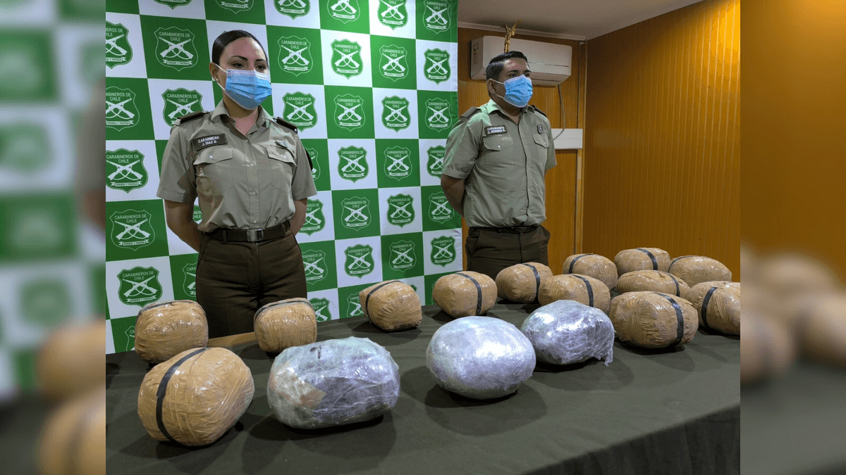 Carabineros decomisan millonario cargamento de marihuana en Calama Carabineros decomisan millonario cargamento de marihuana en Calama