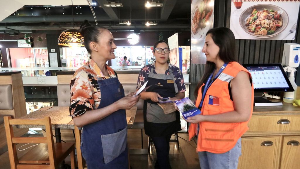 Fiscalización feriado navidad Fiscalización feriado navidad