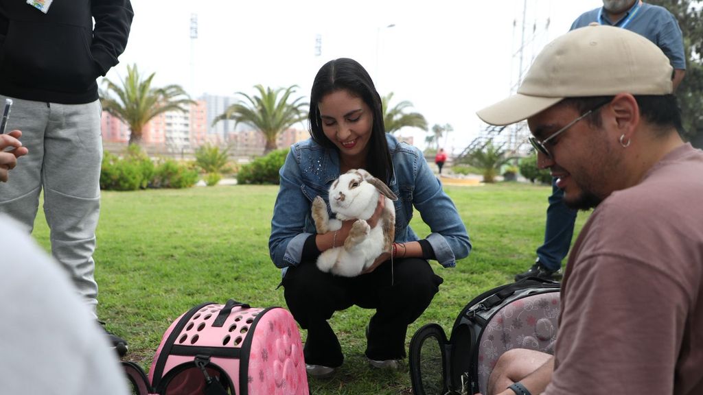 Parque Juan López Parque Juan López