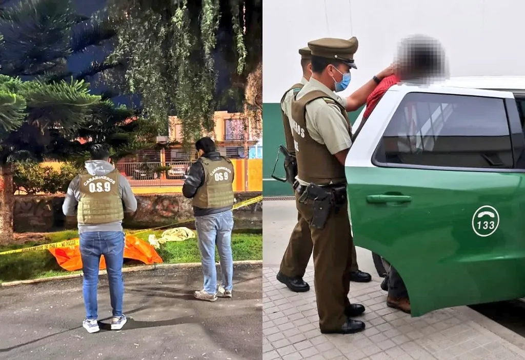 Homicidio Plaza Rica Aventura Homicidio Plaza Rica Aventura