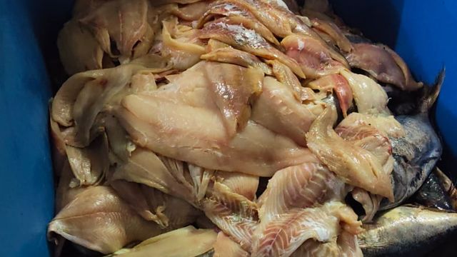 desnaturalizacion pescado desnaturalizacion pescado