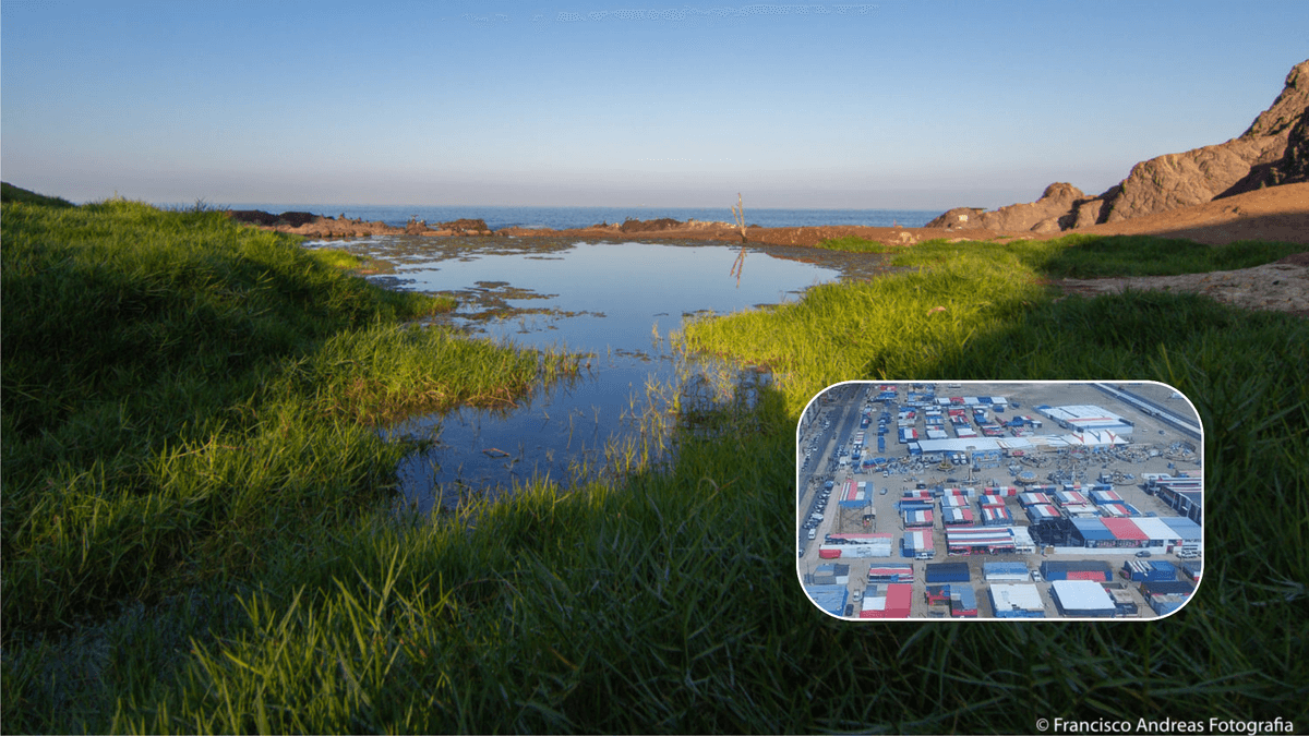 Ramaderos del Humedal enfrentan orden de desalojo inminente Ramaderos del Humedal enfrentan orden de desalojo inminente