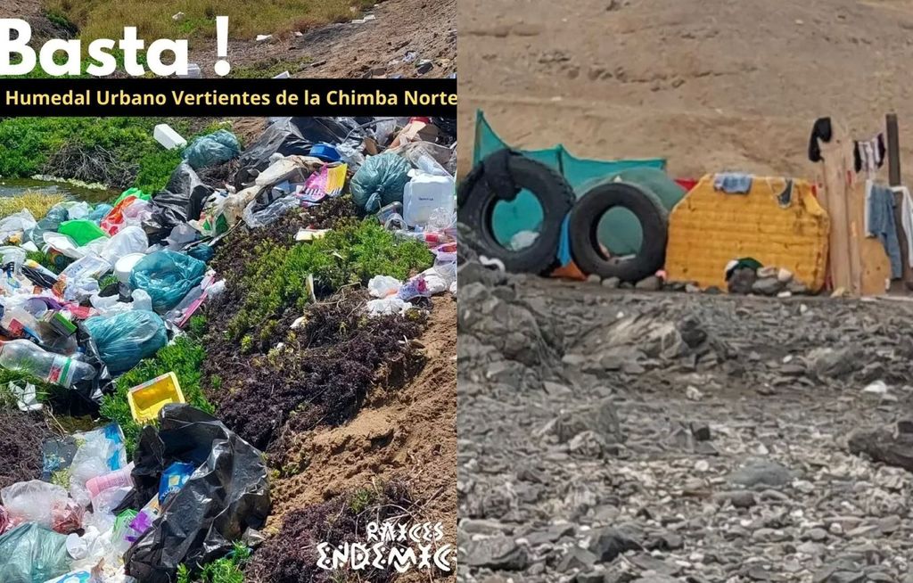 Contaminación Humedal La Chimba Norte Contaminación Humedal La Chimba Norte