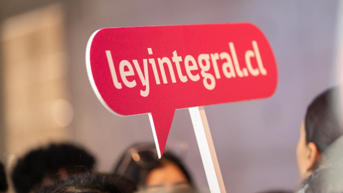 Ley Integral violencia de género