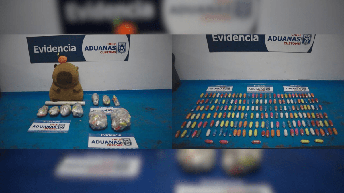Mujer es detenida con 185 ovoides de pasta base en peluche de capibara Mujer es detenida con 185 ovoides de pasta base en peluche de capibara