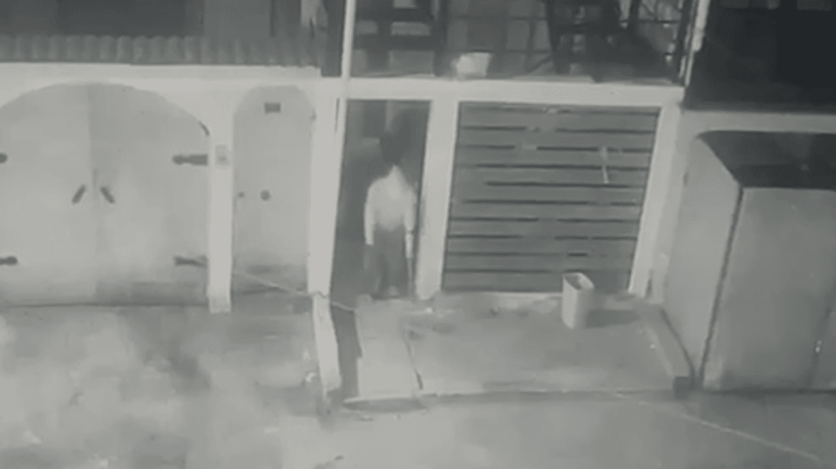 Robo vivienda madre con hijos TEA Robo vivienda madre con hijos TEA