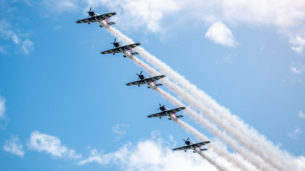 halcones Fach halcones Fach