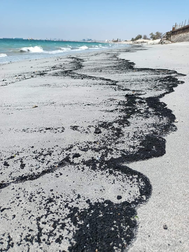 Contaminantes en mejillones