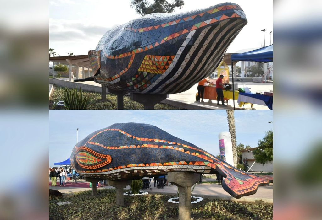 Ballena Mosaico Mejillones Ballena Mosaico Mejillones