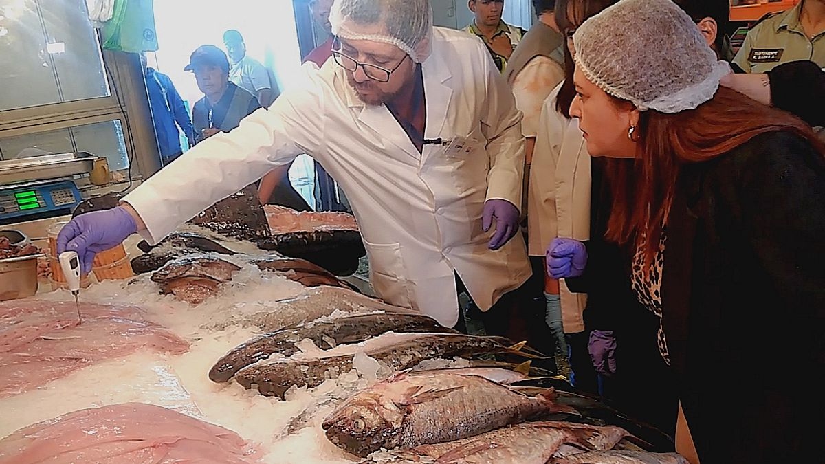 Tres locales clausurados por irregularidades en Antofagasta Tres locales clausurados por irregularidades en Antofagasta