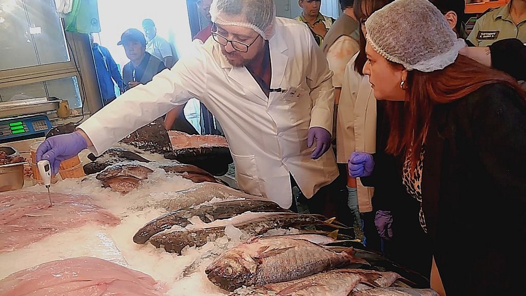 Fiscalización terminal pesquero Fiscalización terminal pesquero