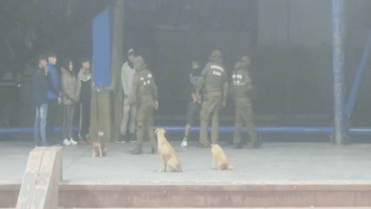 Detenido porte de arma Plaza Bicentenario Detenido porte de arma Plaza Bicentenario