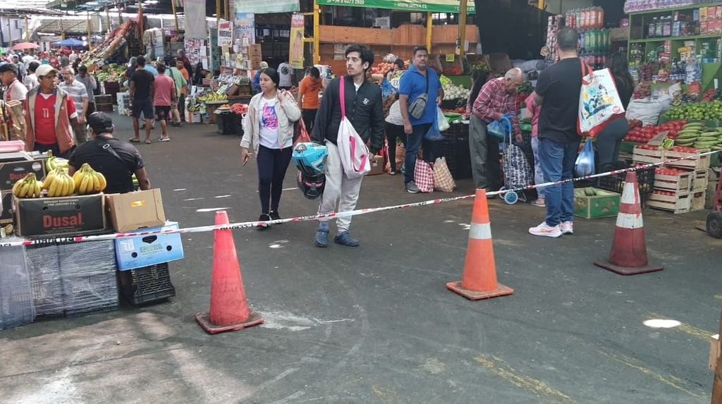 Apertura Tras Incendio Vega Central Apertura Tras Incendio Vega Central