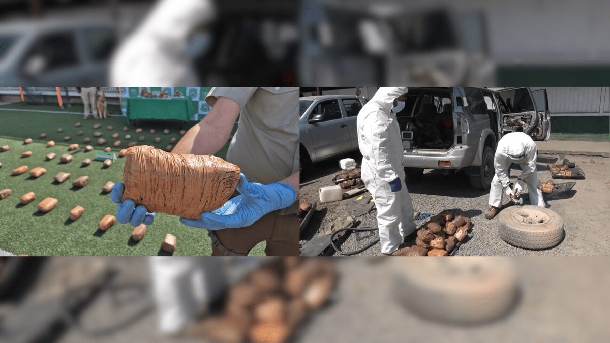Desarticulan banda que enviaba marihuana en encomiendas Desarticulan banda que enviaba marihuana en encomiendas