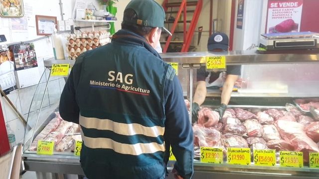 Fiscalizacion carne - carniceria Vega Central de Antofagasta