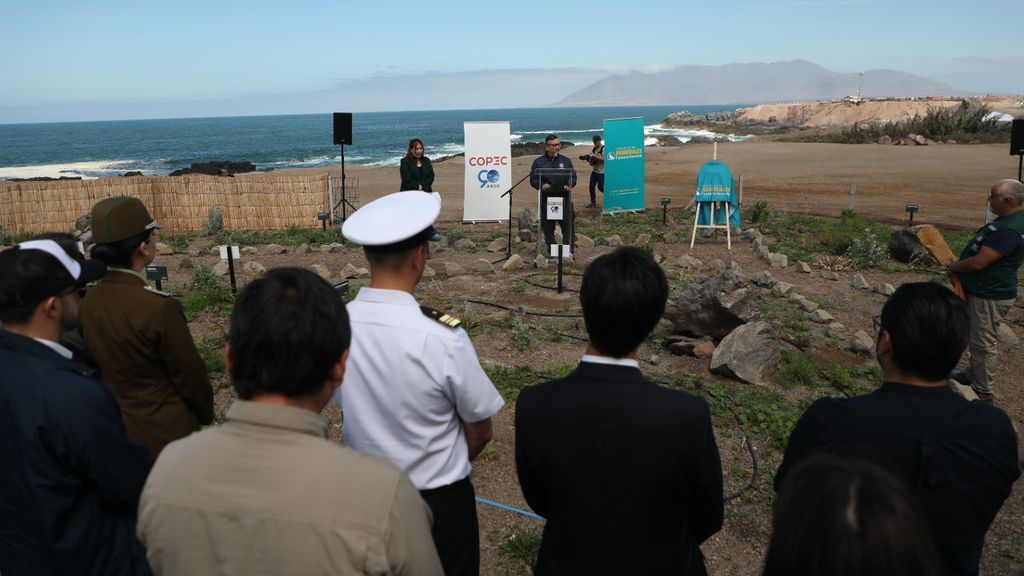 Humedal Aguada La Chimba Humedal Aguada La Chimba