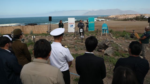 Humedal Aguada La Chimba Humedal Aguada La Chimba