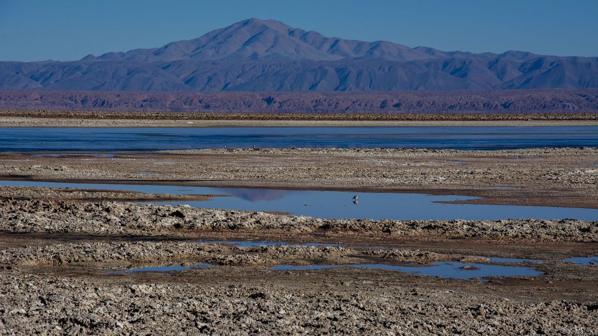 Comunidad Atacameña de Socaire rechaza plazo propuesto por CORFO Comunidad Atacameña de Socaire rechaza plazo propuesto por CORFO