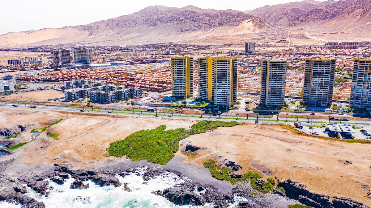 Humedal Antofagasta Humedal Antofagasta