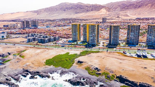 Humedal Antofagasta