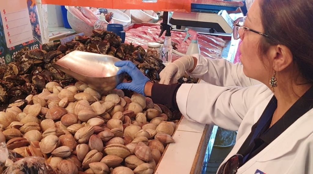 Mariscos Terminal Pesquero Mariscos Terminal Pesquero