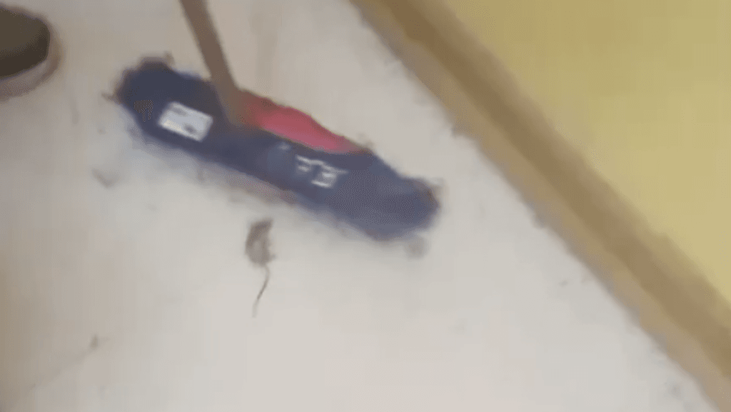 Captura de pantalla 2025-04-07 a la(s) 12 Captura de pantalla 2025-04-07 a la(s) 12