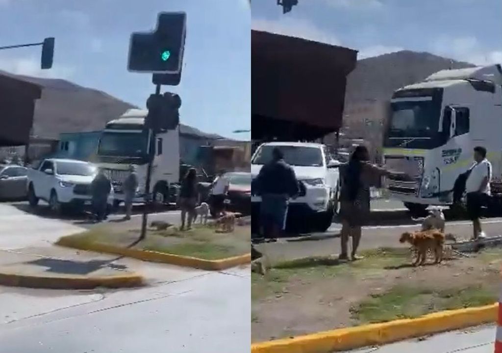 Camión Avenida Salvador Allende