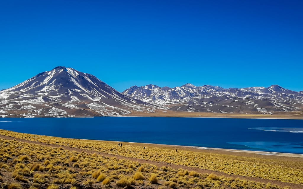 Lagunas altiplánicas Lagunas altiplánicas