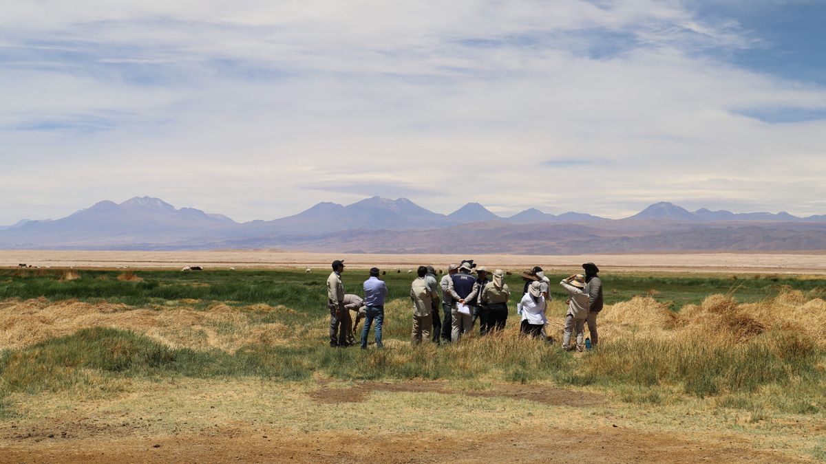 Acuerdo entre Minera Escondida y comunidad de Peine validado por Tribunal Ambiental Acuerdo entre Minera Escondida y comunidad de Peine validado por Tribunal Ambiental