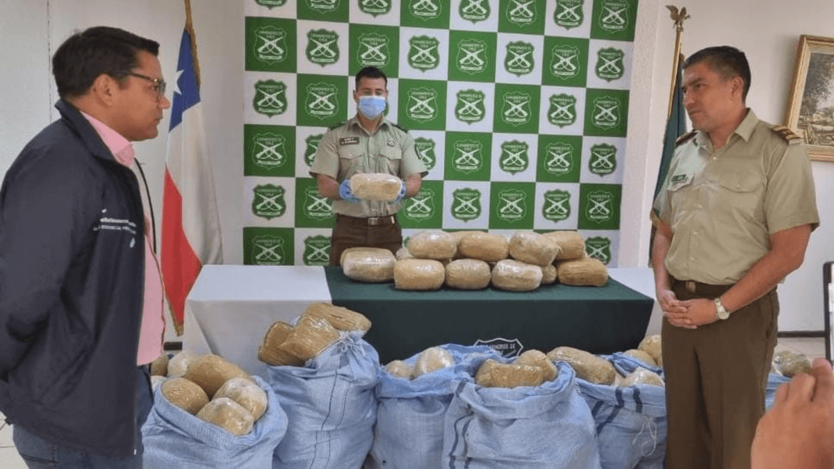 Incautan millonario cargamento de marihuana en frontera con Argentina Incautan millonario cargamento de marihuana en frontera con Argentina