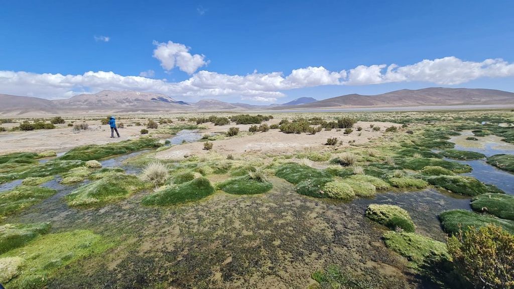 acuifero-lagunillas acuifero-lagunillas