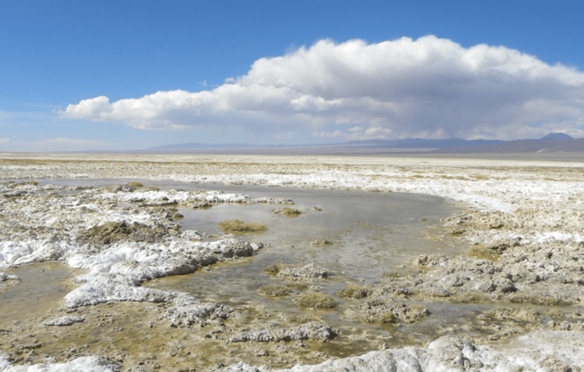 Gobierno asigna contratos para explotación de litio en seis áreas Gobierno asigna contratos para explotación de litio en seis áreas