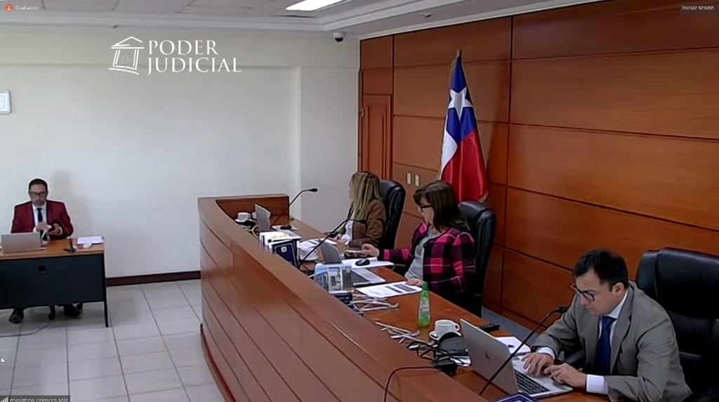 Audiencia Revisión Recurso de Protección Audiencia Revisión Recurso de Protección