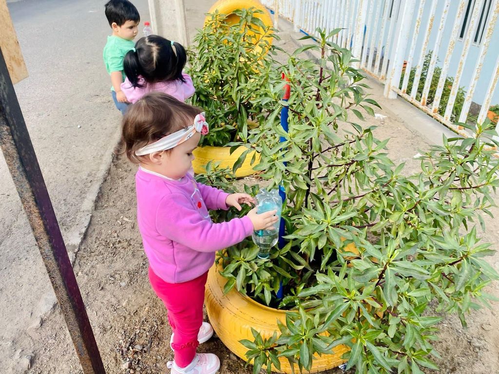 Jardín Infantil de Verano Jardín Infantil de Verano