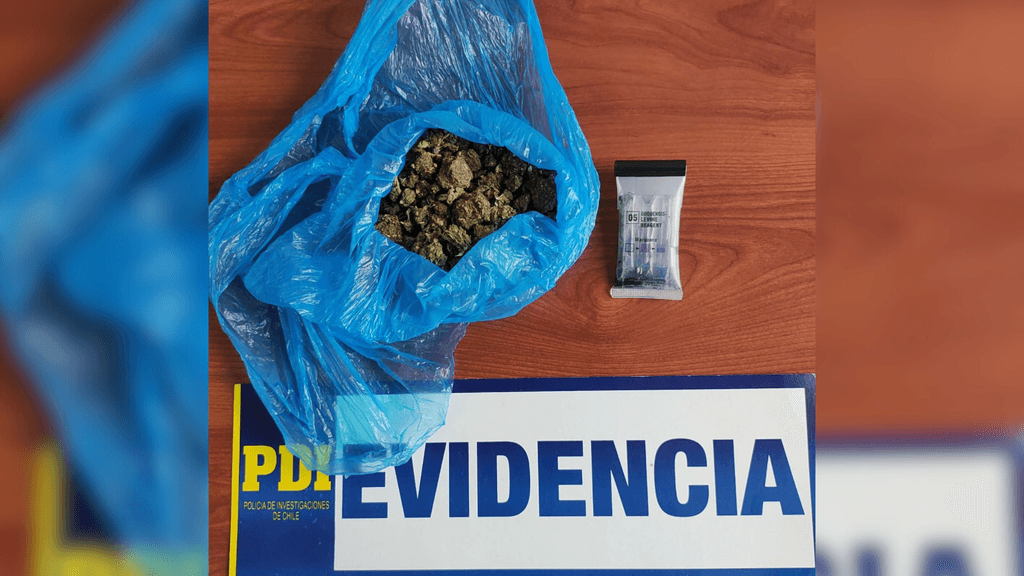 Evidencia PDI